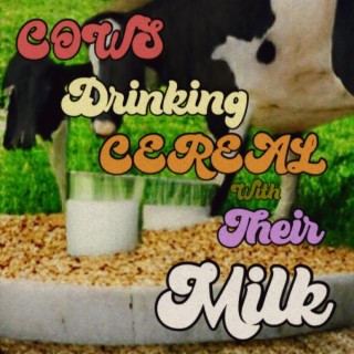 Cows Drinking Cereal with their Milk