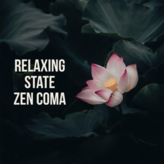 Zen Coma