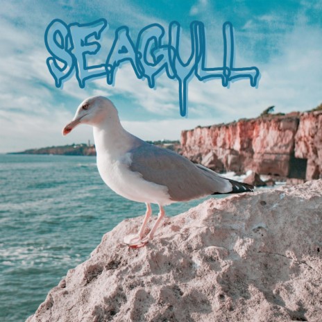 Seagulls Singing