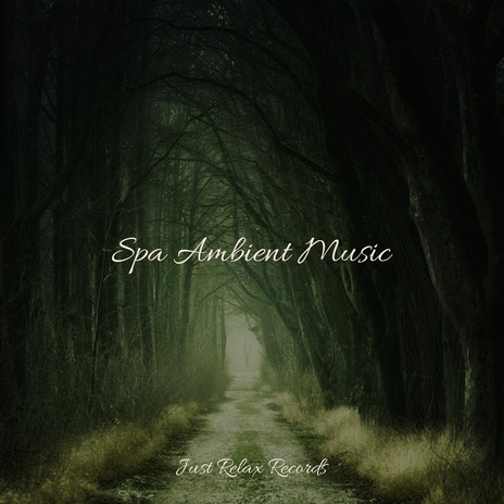 Enchanted Symbiosis ft. PowerThoughts Meditation Club & Sonidos De Lluvia y Tormentas | Boomplay Music