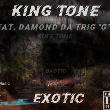 Exotic ft. Damond Da Tri"G"ga | Boomplay Music