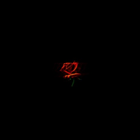 Roses | Boomplay Music