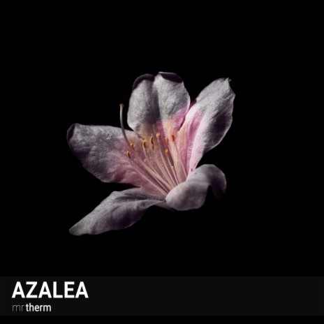 Azalea | Boomplay Music