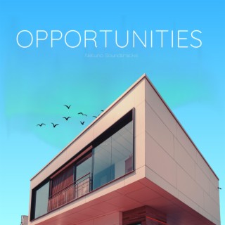 Opportunities