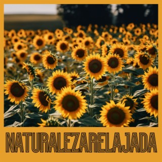 Naturaleza Relajada: Música Instrumental Relajante y Canciones de Naturaleza Suave