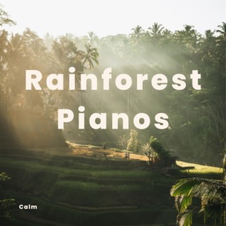 Rainforest Pianos