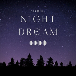 Night Dream