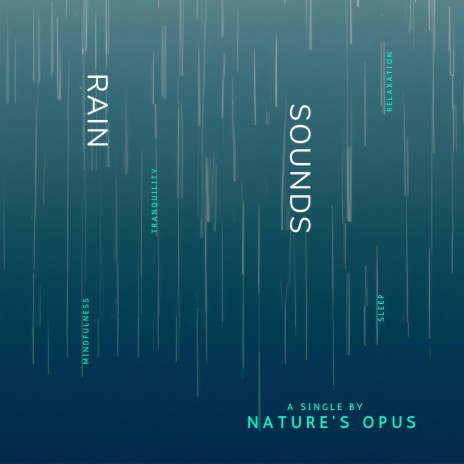 Rain Sounds | Boomplay Music
