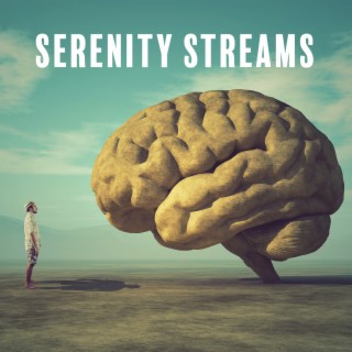 Serenity Streams: Study, Brain, and Meditation with Nature's Symphony