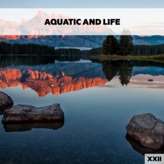 Aquatic And Life XXII