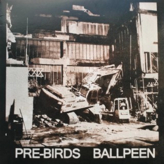 Pre-Birds / Ballpeen Split