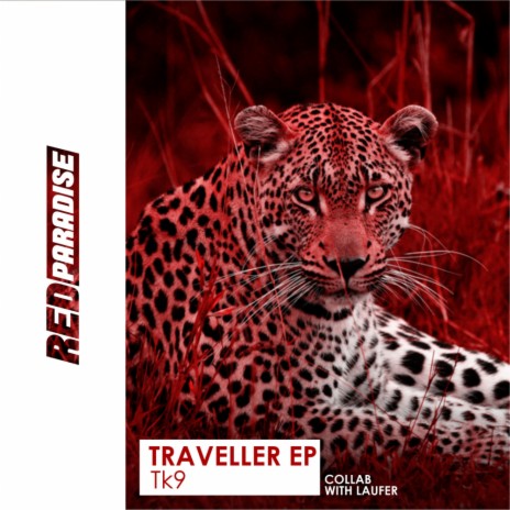 Traveller (Original Mix) | Boomplay Music