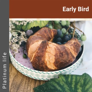 Early Bird