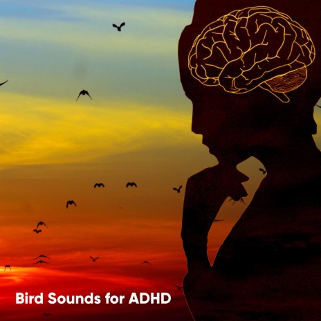 Birdsong for ADHD | Boomplay Music