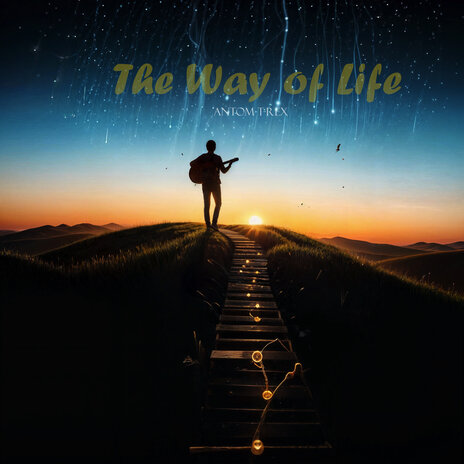 The Way of Life | Boomplay Music