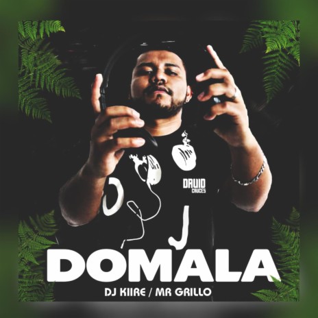 Domala (Remix) ft. Mr Grillo | Boomplay Music