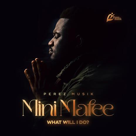 Mini Mafee(What will I do?) | Boomplay Music