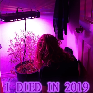 I DIED IN 2019