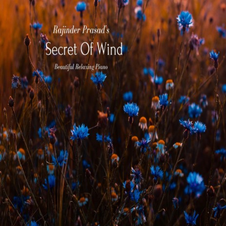 Secret Of Wind | Boomplay Music