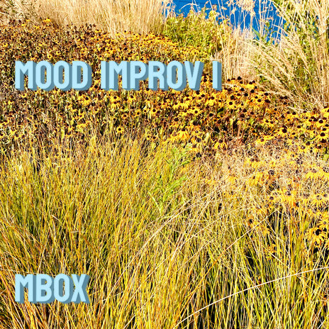 Mood Improv 1 | Boomplay Music