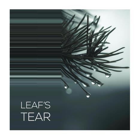 Leaf's Tear ft. Giacomo Tavani