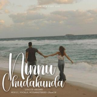 Ninnu Chudakundaa (Special Version)