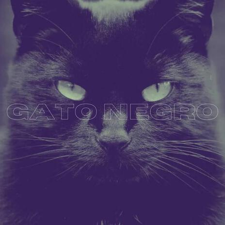 Gato Negro | Boomplay Music