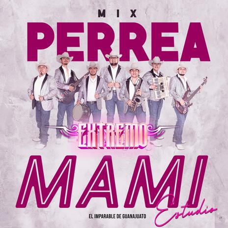 Perrea Mami Mix (Estudio) | Boomplay Music