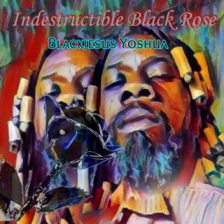 Indestructible Black Rose (Original Studio Version)