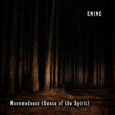 Moonmadness (Dance of the Spirit) | Boomplay Music