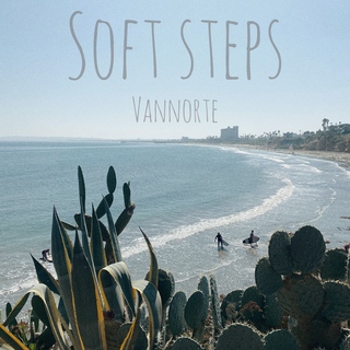 soft steps