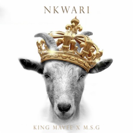 Nkwari ft. M.s.g | Boomplay Music