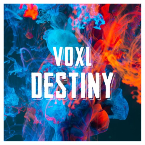 Destiny (Radio Edit) | Boomplay Music