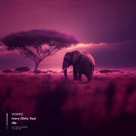 Ivory (Only You) | Boomplay Music