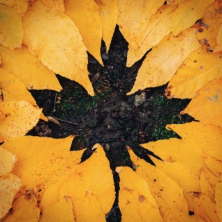 Autumn Leaves lyrics | Boomplay Music