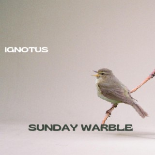 Sunday Warble