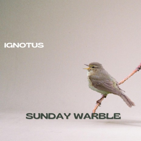 Sunday Warble | Boomplay Music