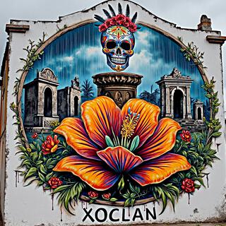 Xoclan