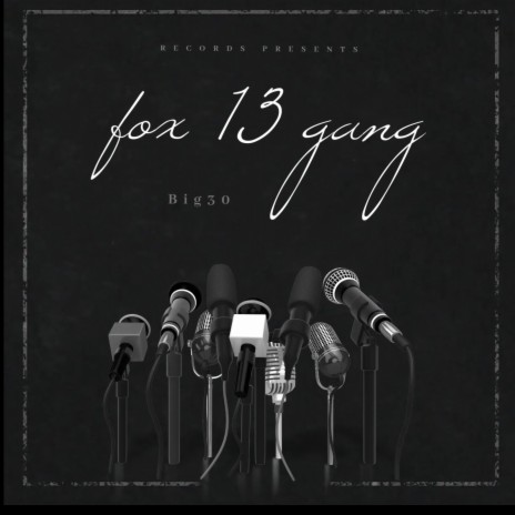 Fox 13 gang | Boomplay Music