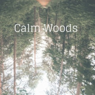 Calm Woods