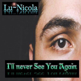 I'll Never See You Again lyrics | Boomplay Music