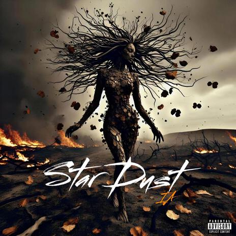 STAR DUST | Boomplay Music