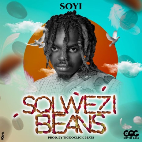 Solwezi Beans