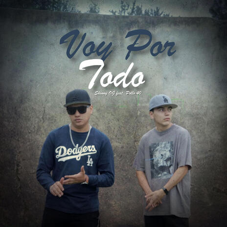 Voy Por Todo ft. Pollo 40 | Boomplay Music