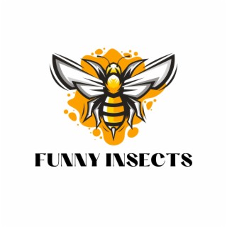 Funny Insects