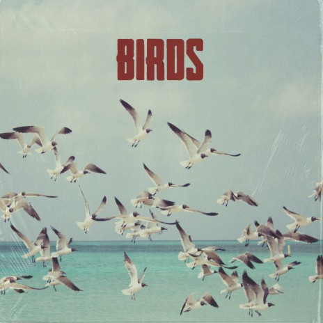 Birds | Boomplay Music