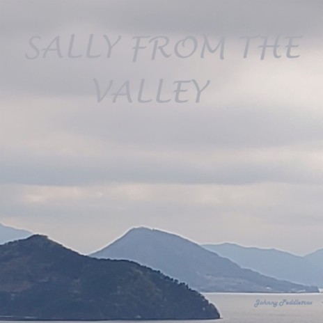 Sally from the Valley | Boomplay Music