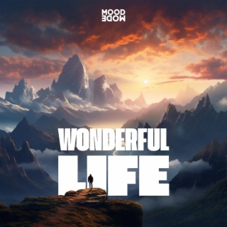 Wonderful Life (feat. MoodMode Studio)