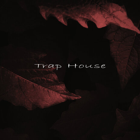 Trap House (Freestyle) | Boomplay Music