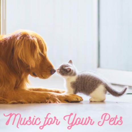Music for Your Pets